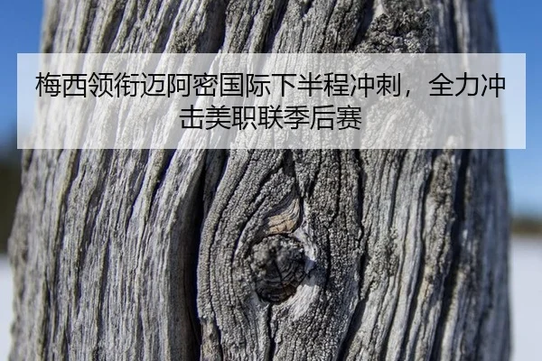 mei-xi-ling-xian-mai-a-mi-guo-ji-xia-ban-cheng-chong-ci-quan-li-chong-ji-mei-zhi-lian-ji-hou-sai-2-592.jpg