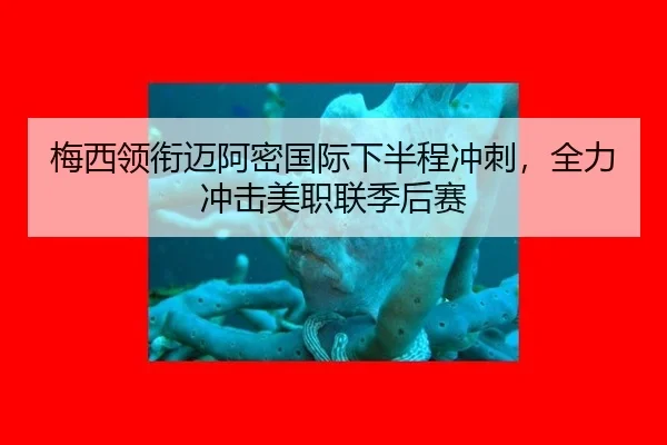 梅西领衔迈阿密国际下半程冲刺，全力冲击美职联季后赛